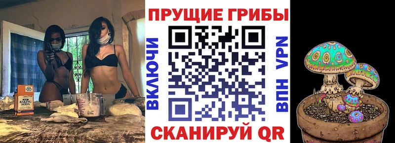 Псилоцибиновые грибы мицелий  Купить где  Тейково 